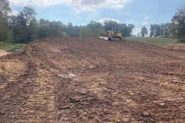 IMG_0251 Medium